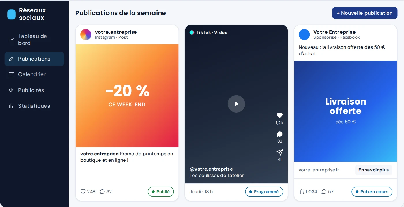 Aperçu du projet de gestion des réseaux sociaux : publications Instagram, TikTok et Facebook avec leur statut